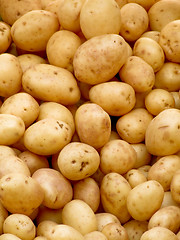 Image showing Organic potatoes