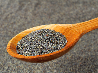 Image showing Poppy seeds