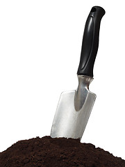 Image showing Trowel and earth