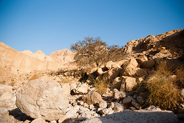 Image showing Mountains in stone desert nead Dead Sea