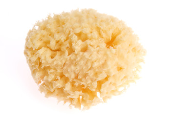 Image showing Bath sponge isolated on white background