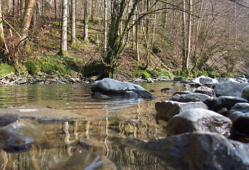 Image showing riverside scenery