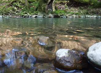 Image showing riverside scenery