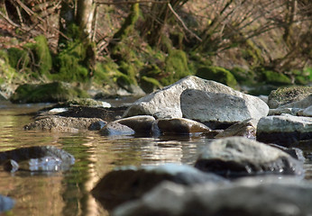 Image showing riverside scenery