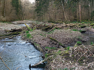 Image showing riverside scenery