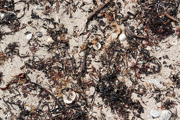 Image showing abstract beach detail