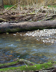 Image showing riverside scenery