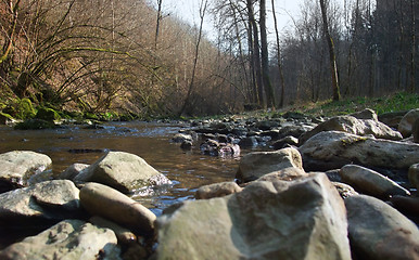 Image showing riverside scenery