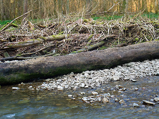 Image showing riverside scenery