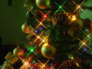 Image showing Christmas tree