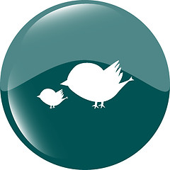 Image showing Glossy isolated website and internet web icon with bird family sign