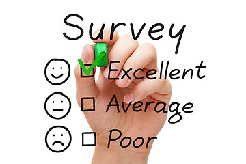 Image showing Survey Excellent Evaluation