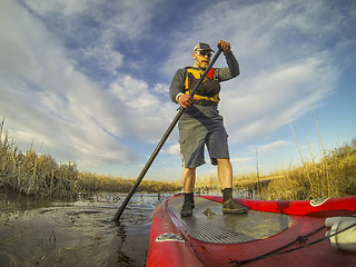 Image showing stand up paddling (SUP) in a wetland