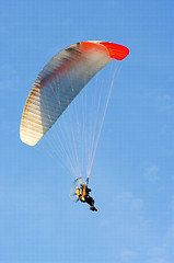 Image showing Paragliding 