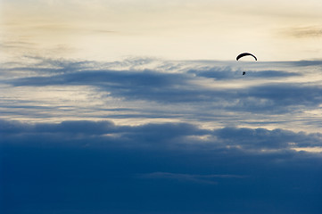 Image showing Paragliding 