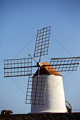 Image showing cactus windmills  isle of lanzarote africa  