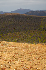 Image showing car viticulture  winery lanzarote spain