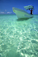 Image showing  tent in the  blue lagoon relax and boat   mexico