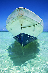 Image showing  the  blue lagoon relax and boat   of sian kaan in mexico