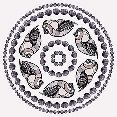 Image showing  Mandala made of Seashells.