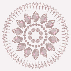 Image showing  Mandala made of Seashells.