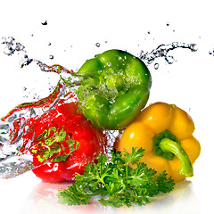 Image showing red, yellow, green pepper and parsley with water splash isolated