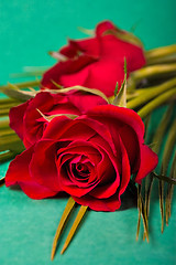 Image showing roses