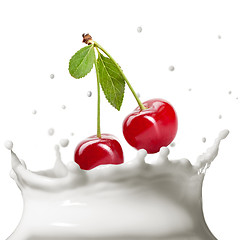 Image showing Milk splash isolated on white