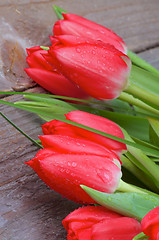 Image showing Spring Tulips