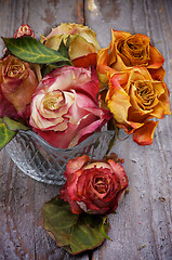 Image showing Bunch of Withered Roses