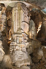 Image showing Stalagmite in Postojna cave