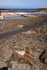 Image showing salt in  lanzarote spain musk po  coastline and summer 