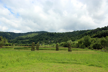 Image showing sheafs of hay standing in Carpathian mountains