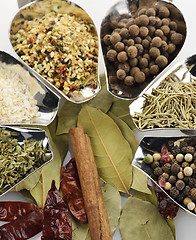 Image showing Spices And Herbs