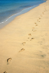 Image showing footprints