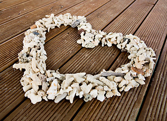 Image showing Seashells on plank wood
