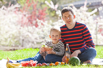 Image showing family picnic