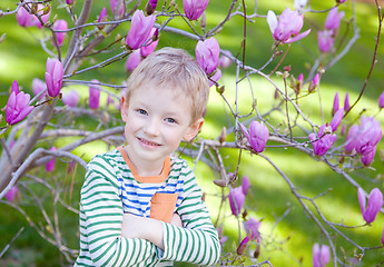 Image showing spring time