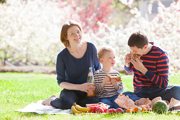 Image showing family picnic