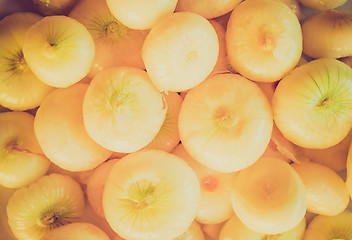 Image showing Retro look Onions