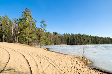 Image showing Spring landscape at wood lake