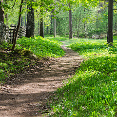 Image showing Footpath in a summer park