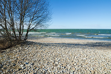 Image showing Coast of Baltic sea covered by a pebble