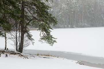 Image showing Cloudy snow landscape at wood lake