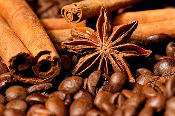 Image showing Coffee beans