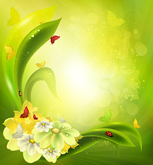 Image showing Summer Background