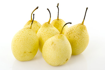 Image showing Six Chinese fragrant pears

