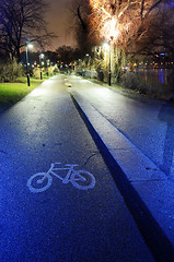 Image showing bike path in the park night city