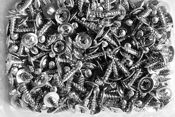 Image showing many screws closeup