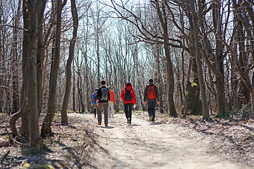 Image showing Hiking in the woods